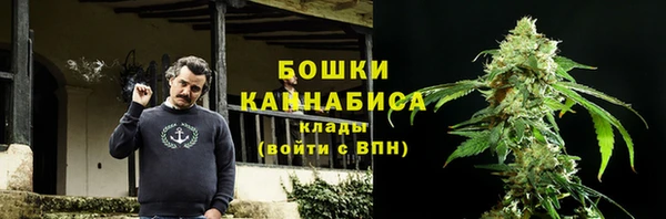 прущий лед Костерёво