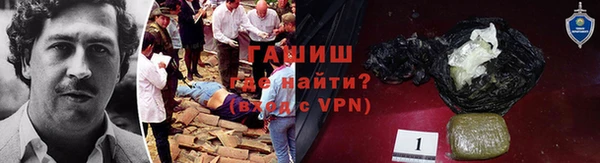 крисы Коряжма