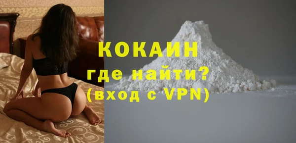крисы Коряжма