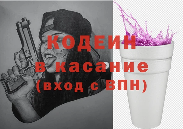 крисы Коряжма