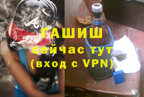 крисы Коряжма