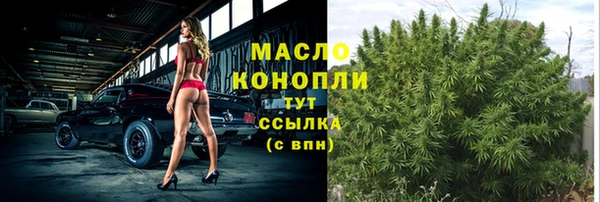 крисы Коряжма