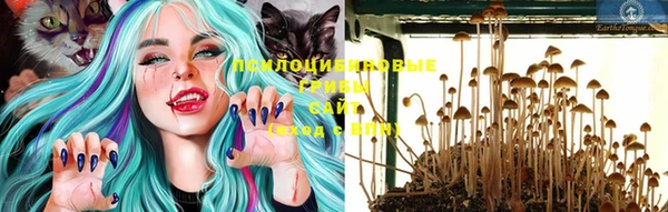 прущий лед Костерёво