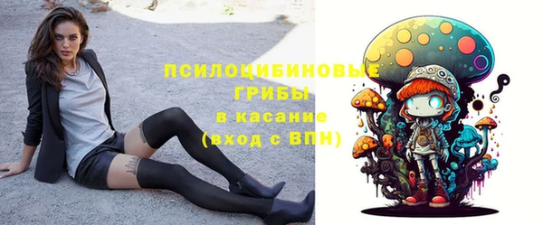 крисы Краснослободск