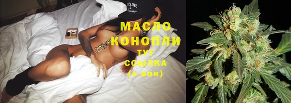 крисы Коряжма